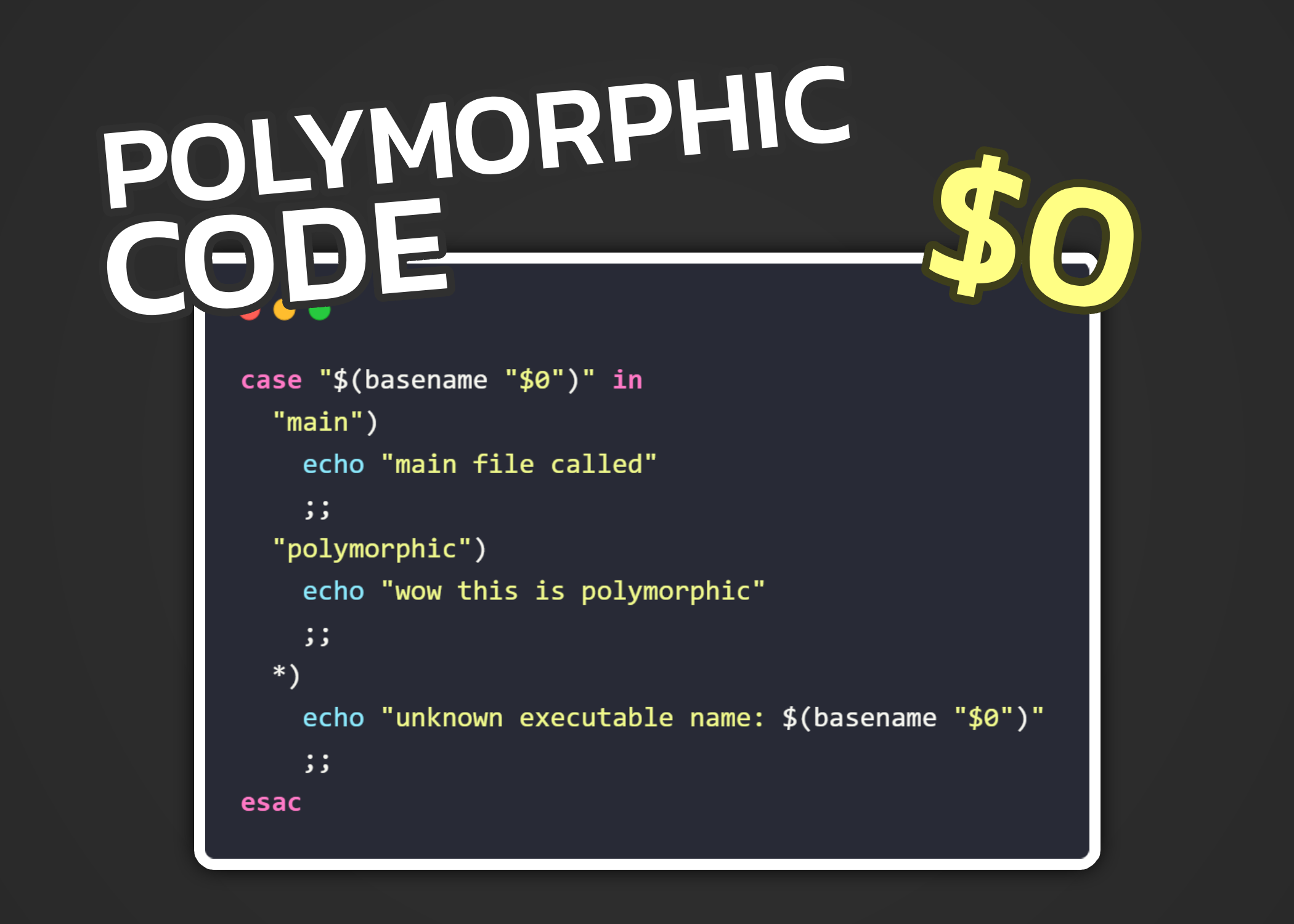 Polymorphic Code:What it is, how it works, and how it is used